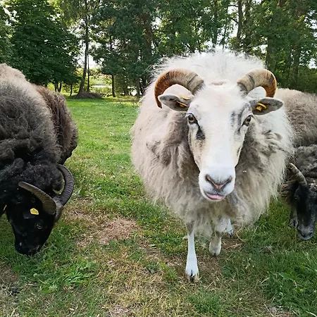 Ferien Am Schloss - 3 