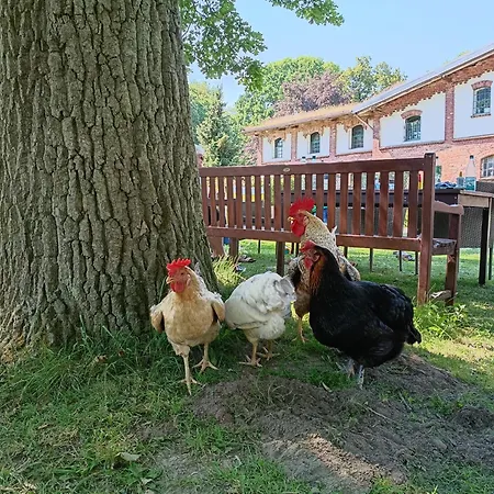 Lejlighed Ferien Am Schloss - 3 