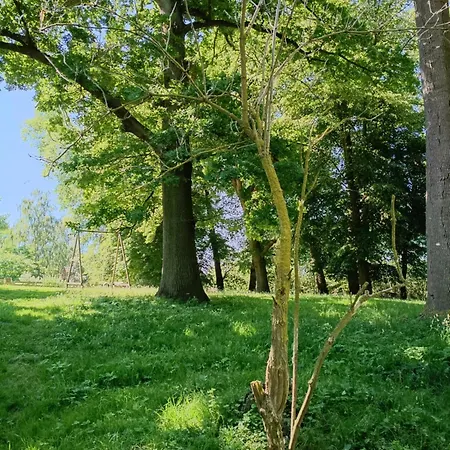 Ferien Am Schloss - 3 