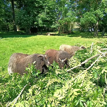 Lejlighed Ferien Am Schloss - 3 